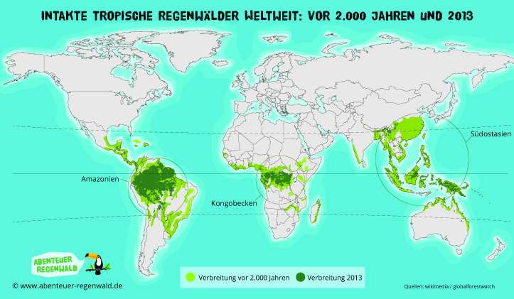weltkarte-abholzung-regenwald-2013-web.jpg